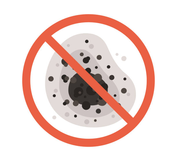Trusted Suncoast Estates, FL Mold Removal Experts